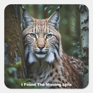 I Found The Missing Lynx Stickers