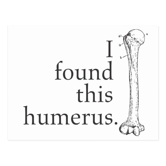 i found this humerus