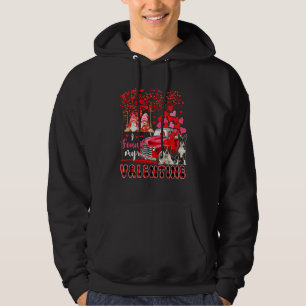 I Found Valentine Two Cute Boston Terriers Couple Hoodie