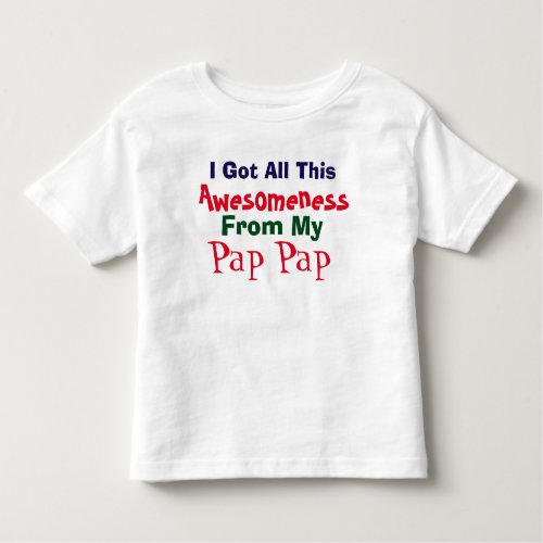 I Get My Awesomeness From My Pap Pap T_Shirt