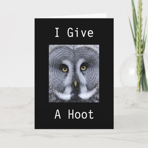 I GIVE A HOOTSEND OUT A HOLLAR CONGRATS CARD