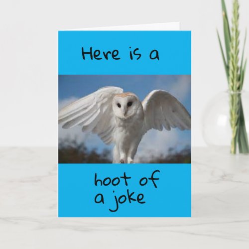 I GIVE A HOOT YOU ARE HAVING A HAPPY BIRTHDAY CARD