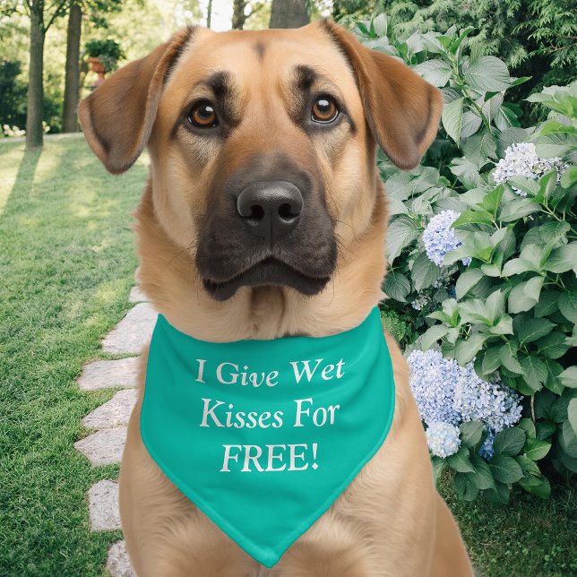 I Give Wet Kisses For FREE! Funny Dog Message Teal Pet Bandana Collar (Creator Uploaded)
