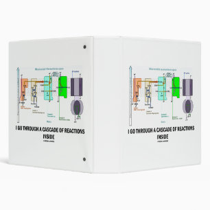 I Go Through A Cascade Of Reactions Inside 3 Ring Binder