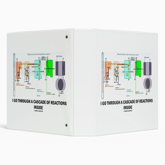 I Go Through A Cascade Of Reactions Inside 3 Ring Binder (Background)