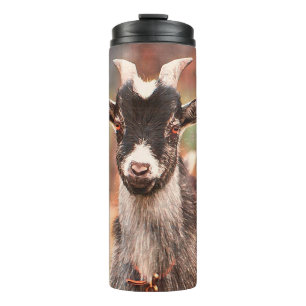 I Goat This Cute Funny Barnyard Thermal Tumbler