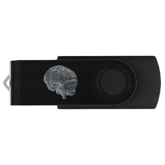 I got brains! flash drive