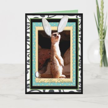 I Got Hare Extensions. Card by toots1 at Zazzle