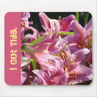 I Got This inspirational confidence humor mousepad