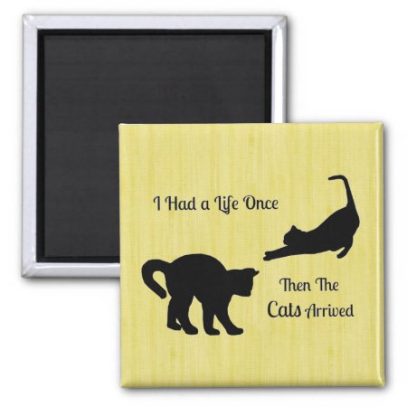 I Had A Life Once Cat Square Magnet