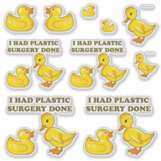 I Had Plastic Surgery Done Funny Ducks Contour Cut Sticker