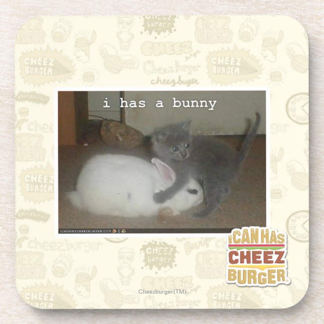 I has a bunny coaster (Front)
