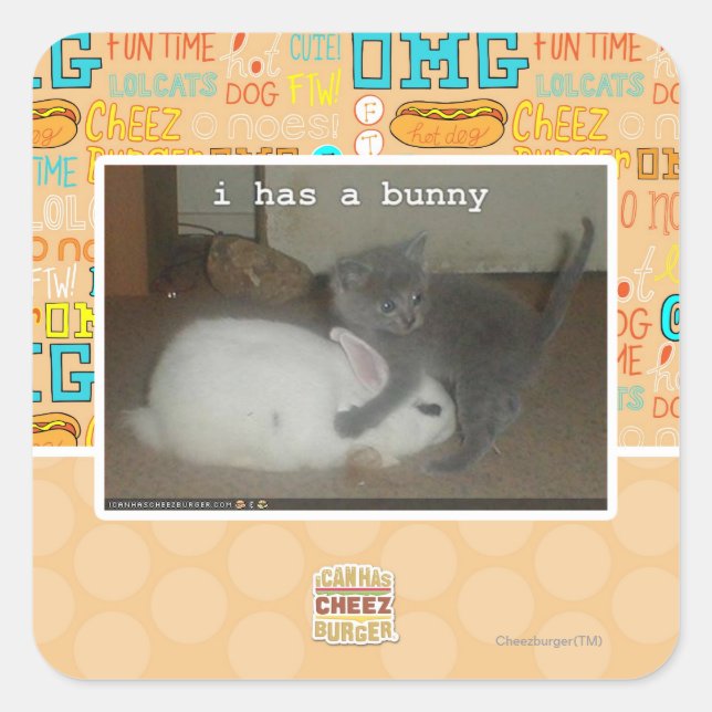 I has a bunny square sticker (Front)