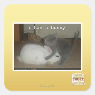 I has a bunny square sticker