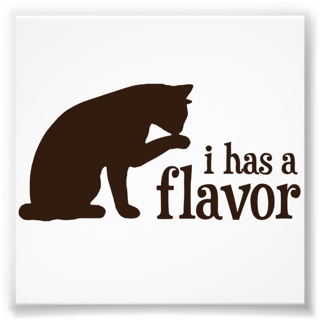 i has a flavor Kitty Cat Photo Print (Front)