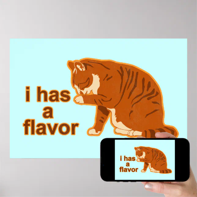 I has a flavor, Lol Cat Poster | Zazzle