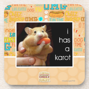 I has a karot coaster