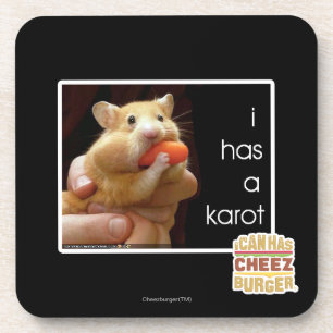 I has a karot coaster