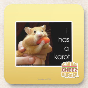 I has a karot drink coaster