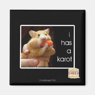 I has a karot magnet