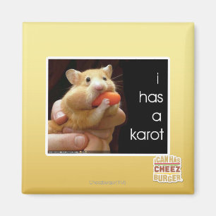 I has a karot magnet