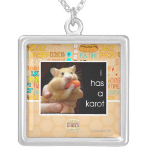I has a karot silver plated necklace