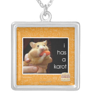 I has a karot silver plated necklace