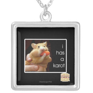 I has a karot silver plated necklace
