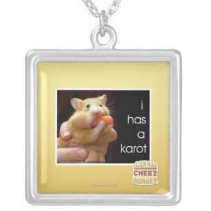 I has a karot silver plated necklace