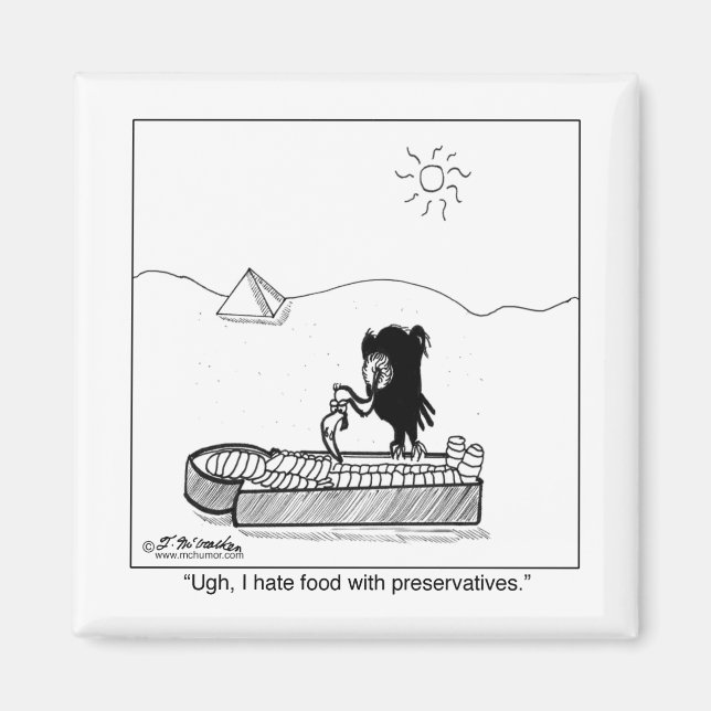 I Hate Food With Preservatives Magnet (Front)