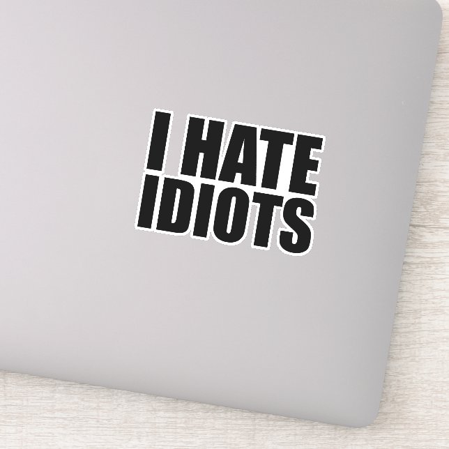 I hate idiots sticker (Detail)