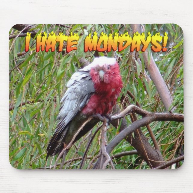 I Hate Mondays Mouse Pad (Front)