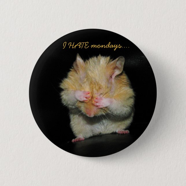 I HATE mondays.... Pinback Button (Front)