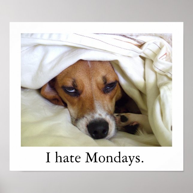 I hate Mondays. Poster (Front)