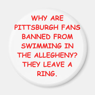 i hate pittsburgh magnet