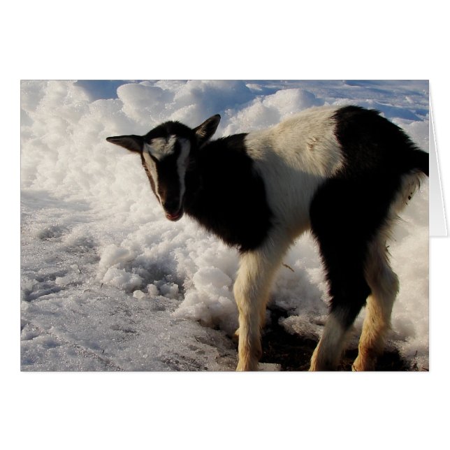 I hate Winter.  Here's Hoping Spring arrives soon. (Front Horizontal)