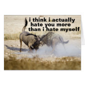 i hate you a lot (Front Horizontal)