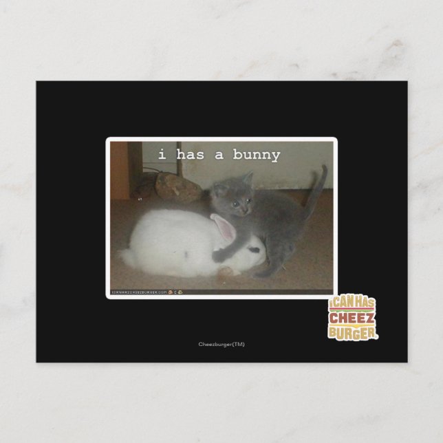 I have a bunny postcard (Front)