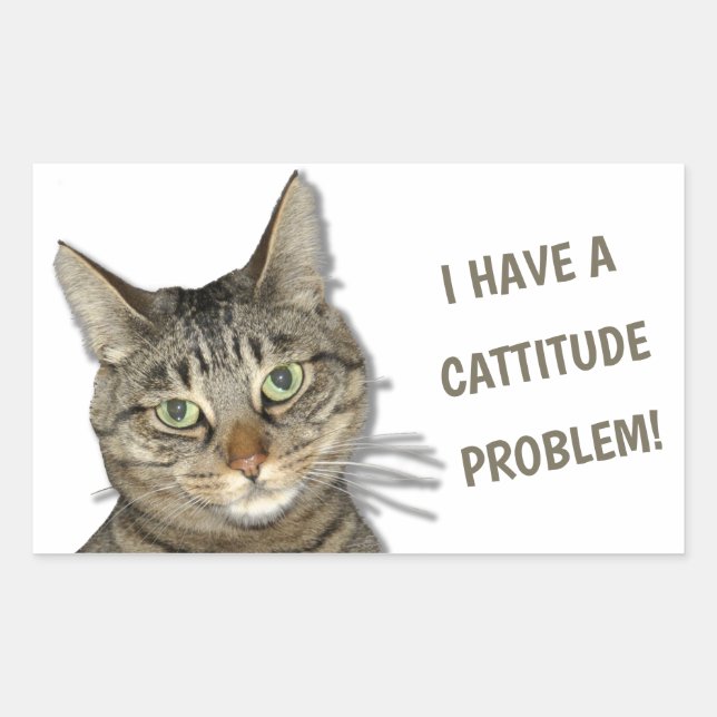I have a cattitude problem! cute custom rectangular sticker (Front)