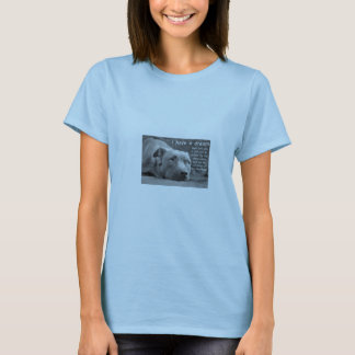 'I have a dream' pit bull baby doll T T-Shirt