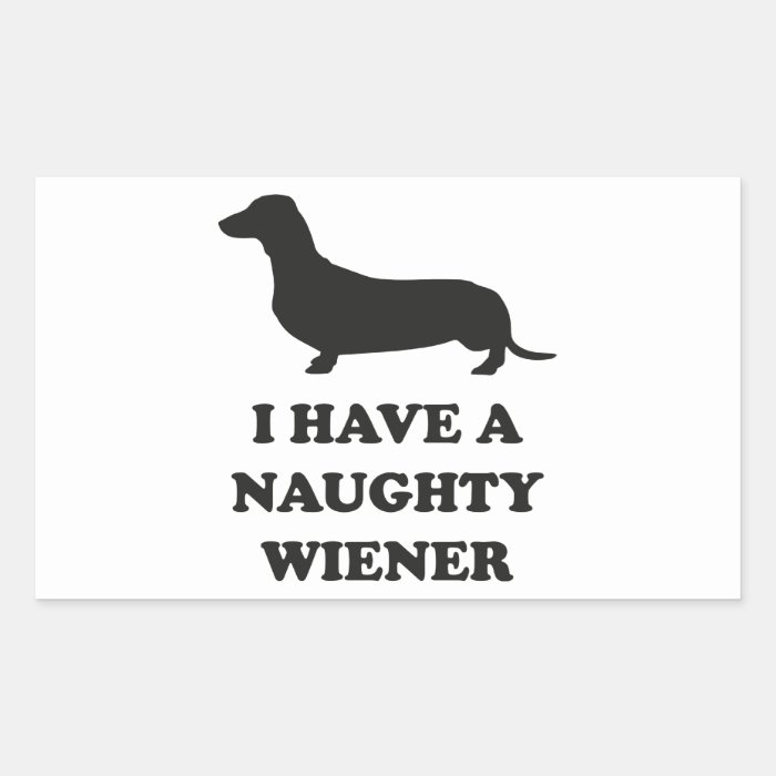 I Have A Naughty Wiener Rectangle Sticker