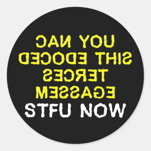 I have a secret message for you to decode 2 classic round sticker
