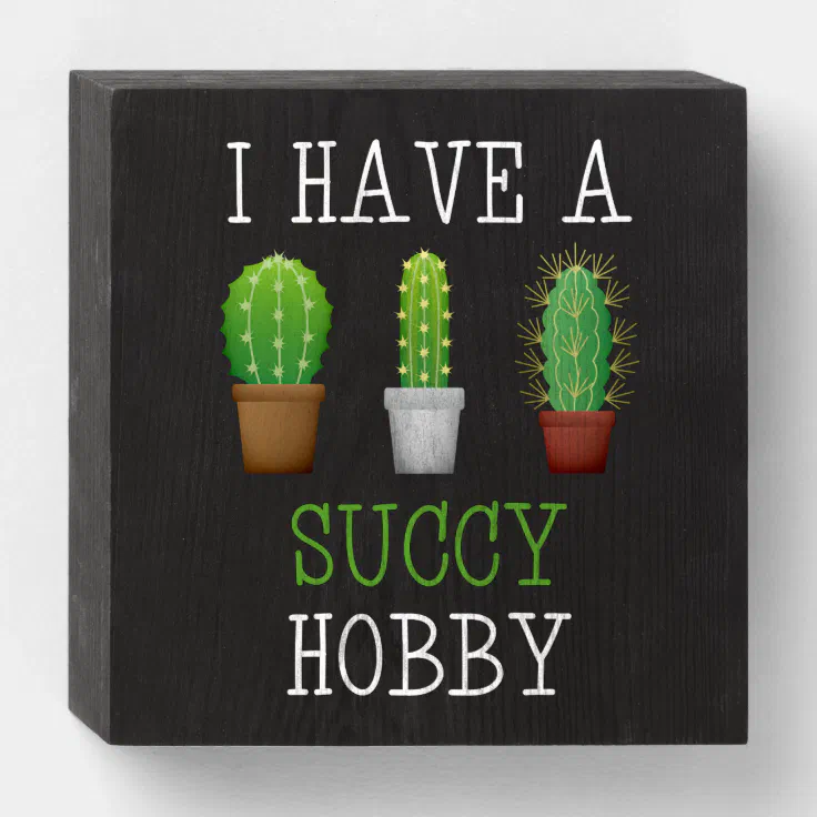 I Have A Succy Hobby Succulent Cactus Funny Wooden Box Sign | Zazzle
