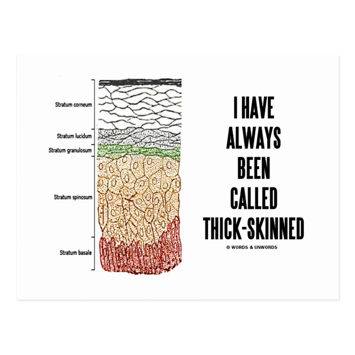 I Have Always Been Called Thick Skinned Postcard