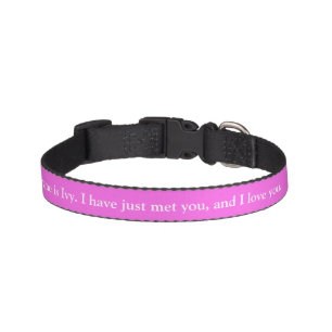 I have just met you & I love you Custom Collar
