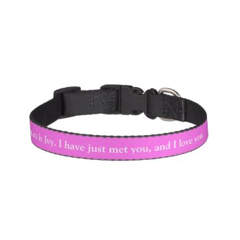 I Have Just Met You & I Love You Custom Collar by nikinonsense at Zazzle