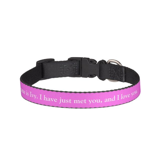 I have just met you & I love you Custom Collar (Front)