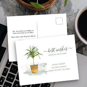 I Have Moved Potted Palm Plant Moving Announcement Postcard