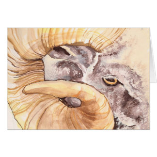 i have my eye on ewe cards