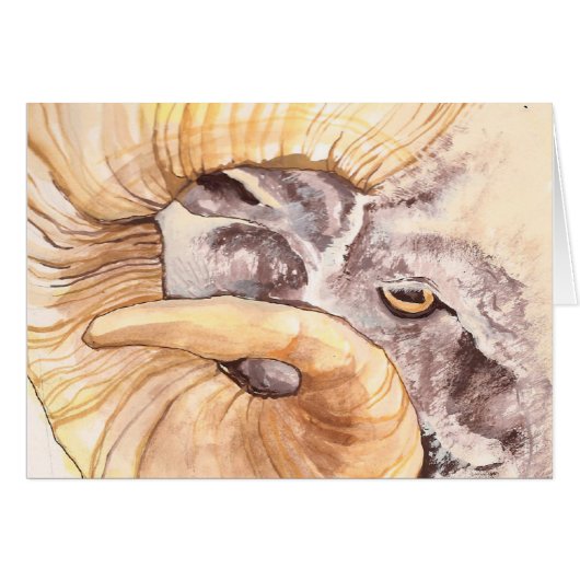 i have my eye on ewe cards (Front Horizontal)